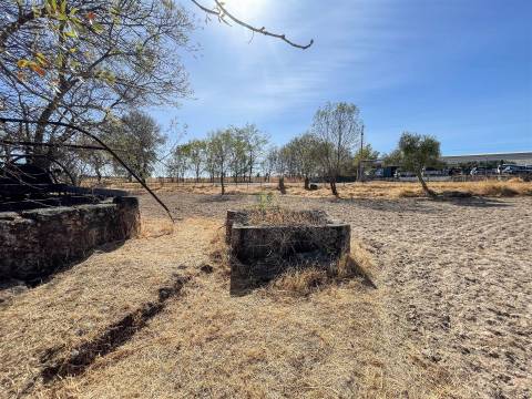Terreno Rústico à Venda na Lardosa – 4750 m² com 4 Poços de Água