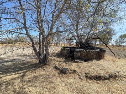 Terreno Rústico à Venda na Lardosa – 4750 m² com 4 Poços de Água