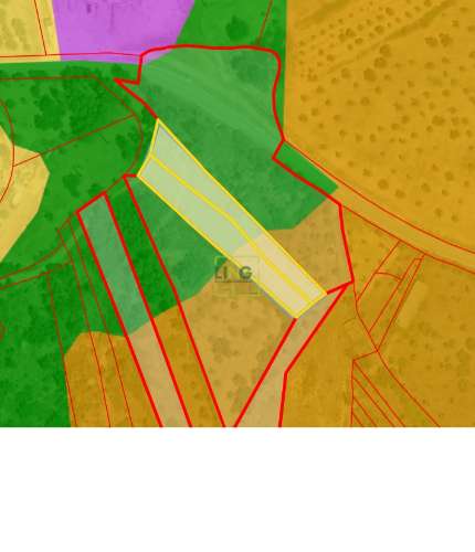 Terreno Rústico no Sobral do Campo 2080m2 – Oportunidade Única!