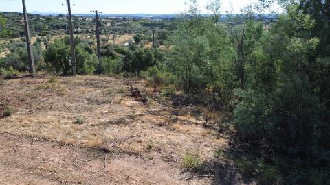 Terreno Rústico no Sobral do Campo 2080m2 – Oportunidade Única!