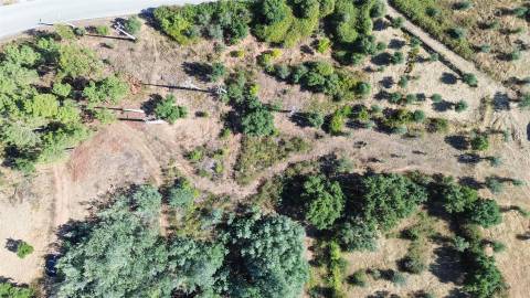 Terreno Rústico no Sobral do Campo 2080m2 – Oportunidade Única!