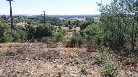 Terreno Rústico no Sobral do Campo 2080m2 – Oportunidade Única!