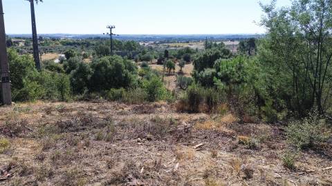 Terreno Rústico no Sobral do Campo 2080m2 – Oportunidade Única!