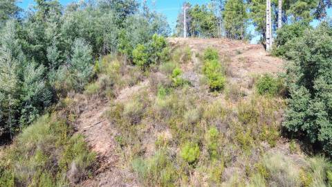 Terreno Rústico no Sobral do Campo 2080m2 – Oportunidade Única!