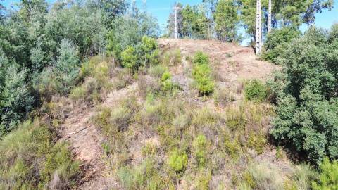 Terreno Rústico no Sobral do Campo 2080m2 – Oportunidade Única!