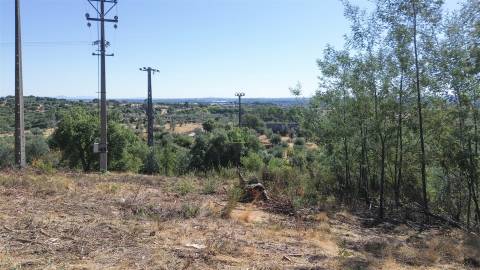 Terreno Rústico no Sobral do Campo 2080m2 – Oportunidade Única!