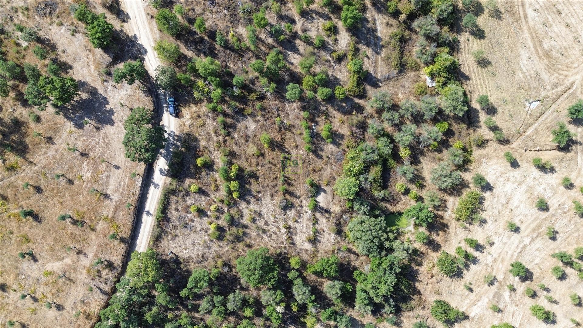 Terreno Rústico  Venda em Tinalhas,Castelo Branco