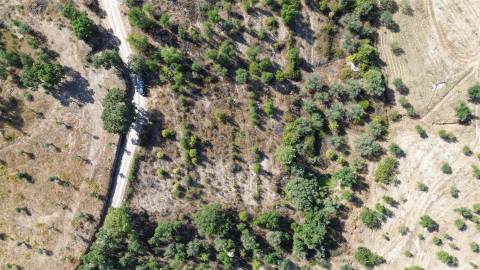 Terreno Rústico  Venda em Tinalhas,Castelo Branco