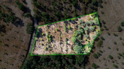 Terreno Rústico  Venda em Tinalhas,Castelo Branco