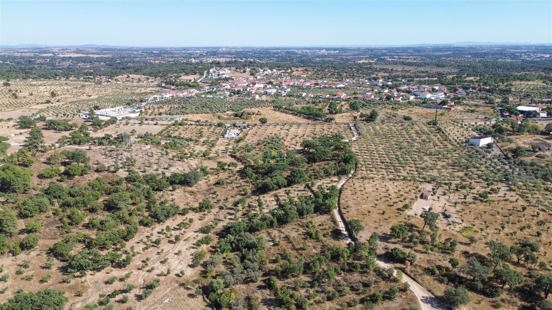 Terreno Rústico  Venda em Tinalhas,Castelo Branco