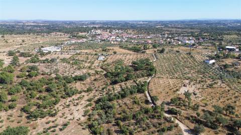 Terreno Rústico  Venda em Tinalhas,Castelo Branco
