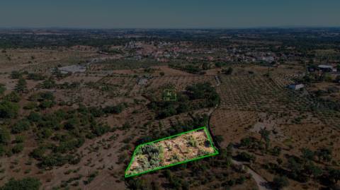 Terreno Rústico  Venda em Tinalhas,Castelo Branco