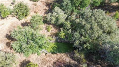 Terreno Rústico  Venda em Tinalhas,Castelo Branco