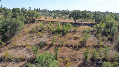 Terreno Rústico  Venda em Tinalhas,Castelo Branco