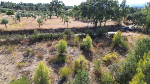 Terreno Rústico  Venda em Tinalhas,Castelo Branco