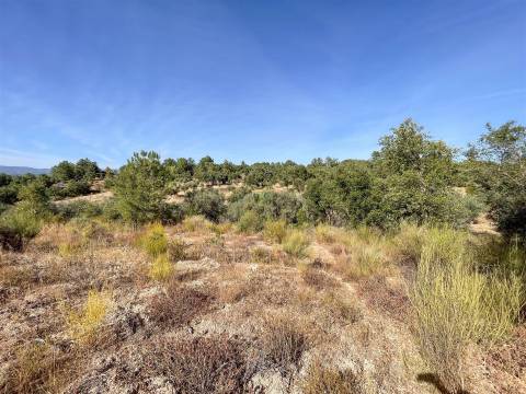 Terreno Rústico  Venda em Tinalhas,Castelo Branco