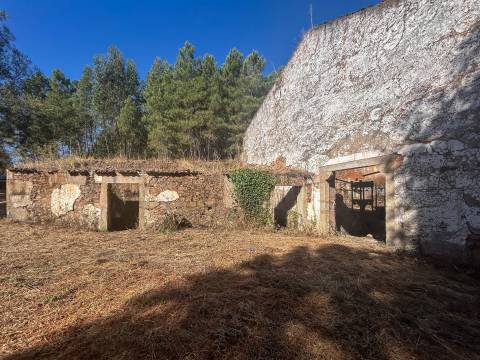 Quinta à venda , Lugar Capinha s/n