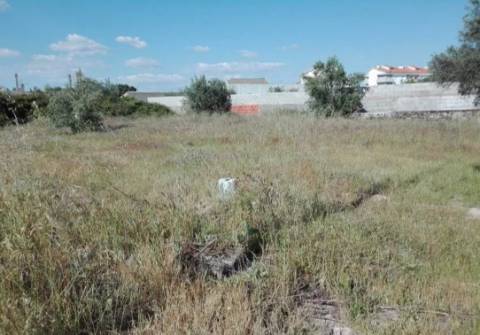 Lote de Terreno para construção de Moradia isolada em Alcains