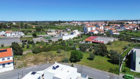 Lote de Terreno para construção de Moradia isolada em Alcains