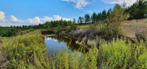 QUINTA COM 14.040m2, DUAS CHARCAS E DOIS POÇOS