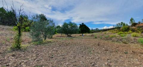 QUINTA COM 14.040m2, DUAS CHARCAS E DOIS POÇOS