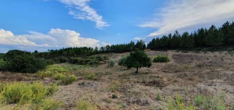 QUINTA COM 14.040m2, DUAS CHARCAS E DOIS POÇOS