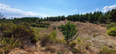 QUINTA COM 14.040m2, DUAS CHARCAS E DOIS POÇOS