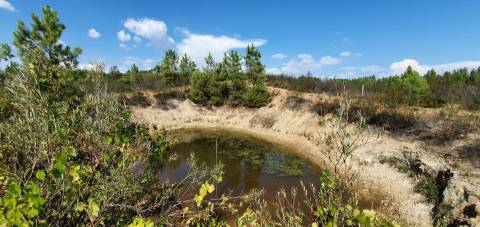 QUINTA COM 14.040m2, DUAS CHARCAS E DOIS POÇOS