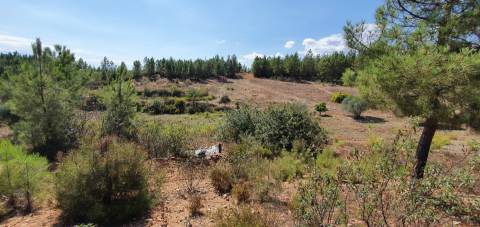 QUINTA COM 14.040m2, DUAS CHARCAS E DOIS POÇOS