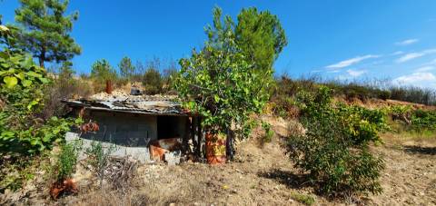 QUINTA COM 14.040m2, DUAS CHARCAS E DOIS POÇOS