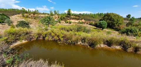 QUINTA COM 14.040m2, DUAS CHARCAS E DOIS POÇOS