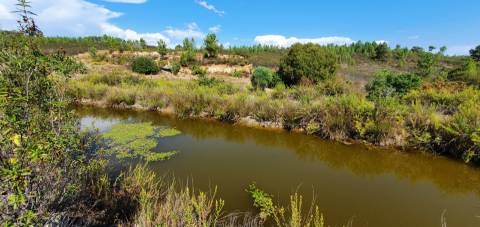 QUINTA COM 14.040m2, DUAS CHARCAS E DOIS POÇOS