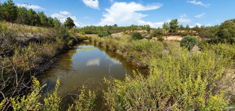 QUINTA COM 14.040m2, DUAS CHARCAS E DOIS POÇOS