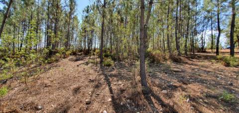 QUINTA COM 14.040m2, DUAS CHARCAS E DOIS POÇOS