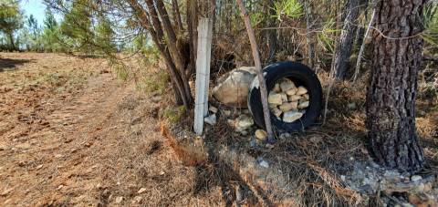 QUINTA COM 14.040m2, DUAS CHARCAS E DOIS POÇOS