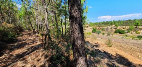 QUINTA COM 14.040m2, DUAS CHARCAS E DOIS POÇOS