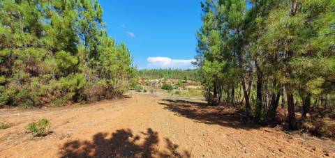 QUINTA COM 14.040m2, DUAS CHARCAS E DOIS POÇOS