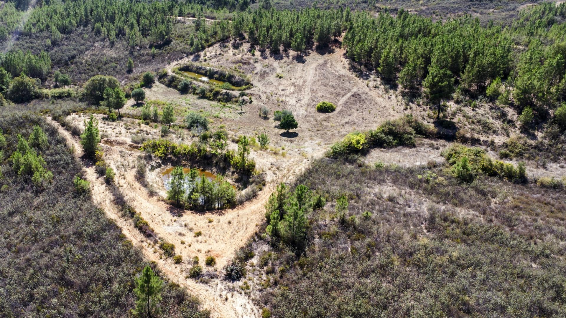 QUINTA COM 14.040m2, DUAS CHARCAS E DOIS POÇOS