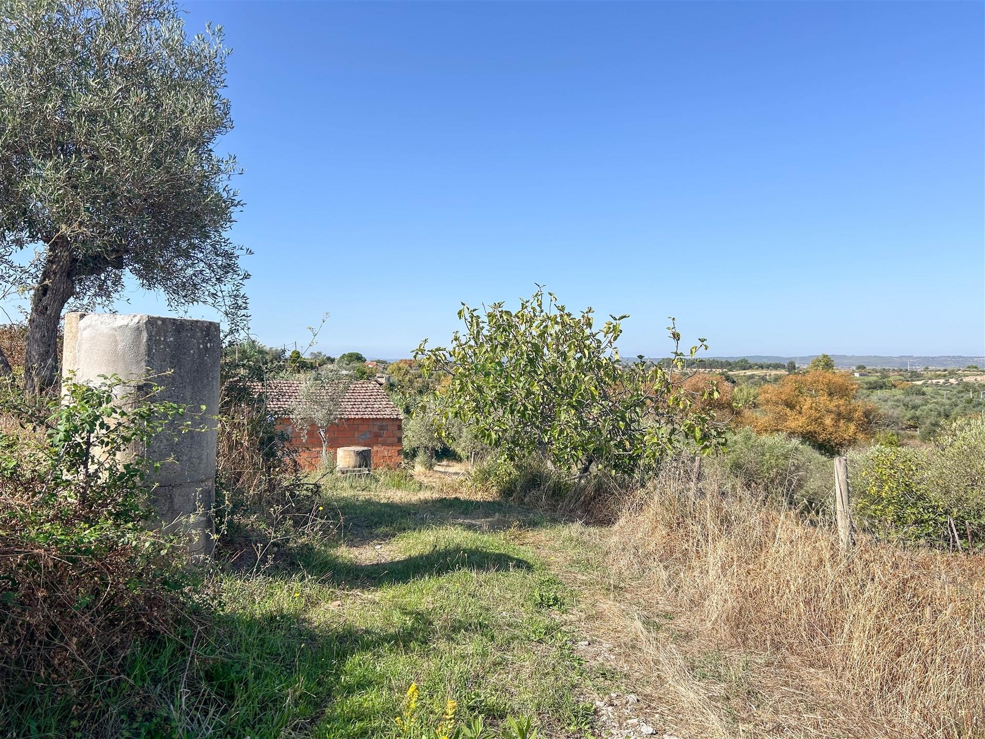 Terreno Rústico  Compra em Ladoeiro,Idanha-a-Nova