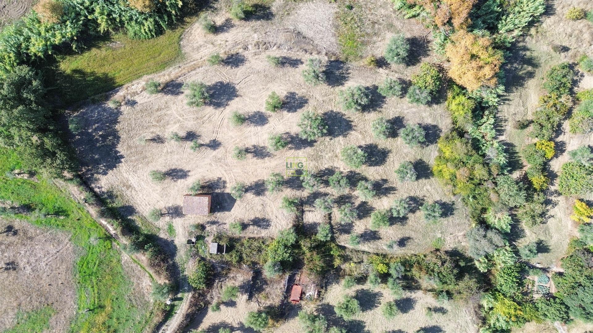 Terreno Rústico  Compra em Ladoeiro,Idanha-a-Nova