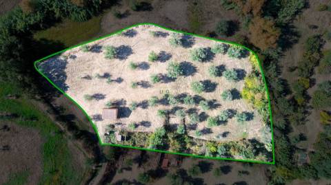 Terreno Rústico  Compra em Ladoeiro,Idanha-a-Nova