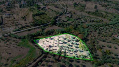 Terreno Rústico  Compra em Ladoeiro,Idanha-a-Nova