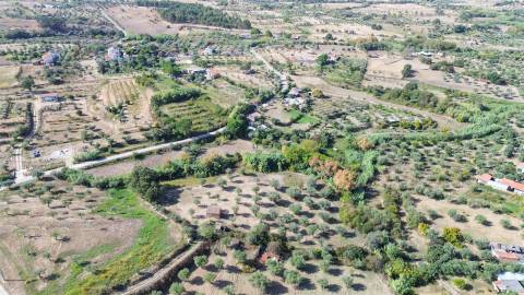 Terreno Rústico  Compra em Ladoeiro,Idanha-a-Nova