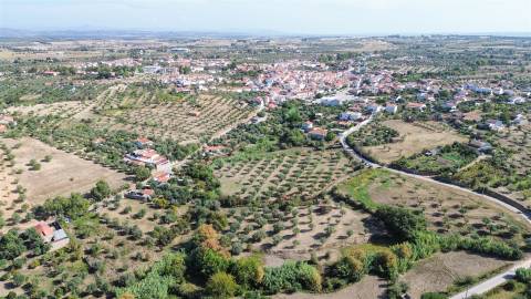 Terreno Rústico  Compra em Ladoeiro,Idanha-a-Nova