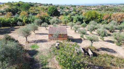 Terreno Rústico  Compra em Ladoeiro,Idanha-a-Nova