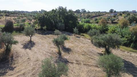 Terreno Rústico  Compra em Ladoeiro,Idanha-a-Nova
