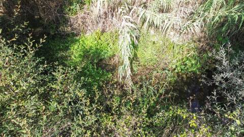 Terreno Rústico  Compra em Ladoeiro,Idanha-a-Nova