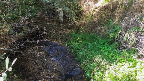Terreno Rústico  Compra em Ladoeiro,Idanha-a-Nova