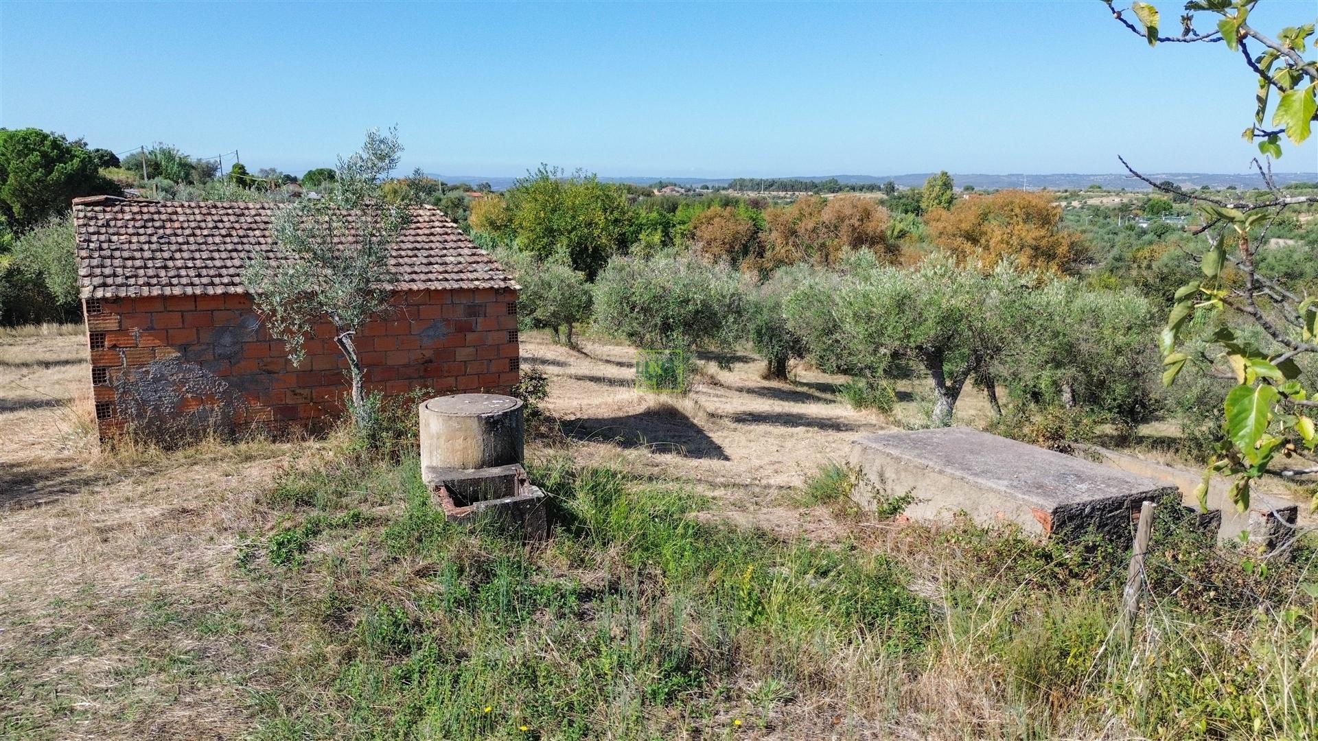 Terreno Rústico  Compra em Ladoeiro,Idanha-a-Nova