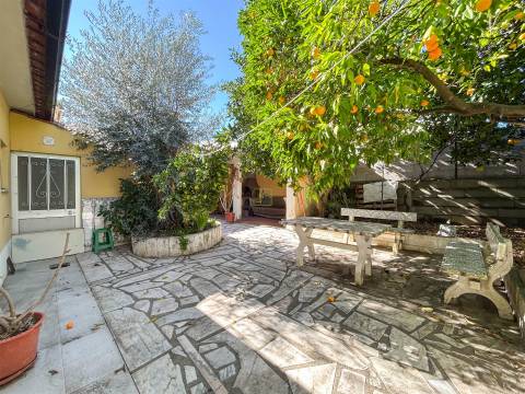 Moradia T3 com quintal para venda em Castelo Branco